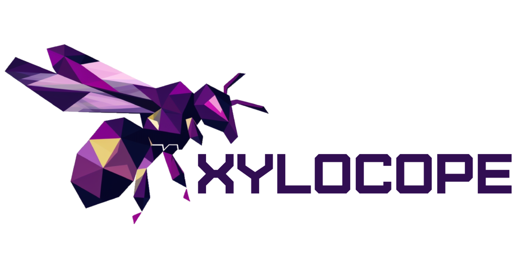 Xylocope Logo
